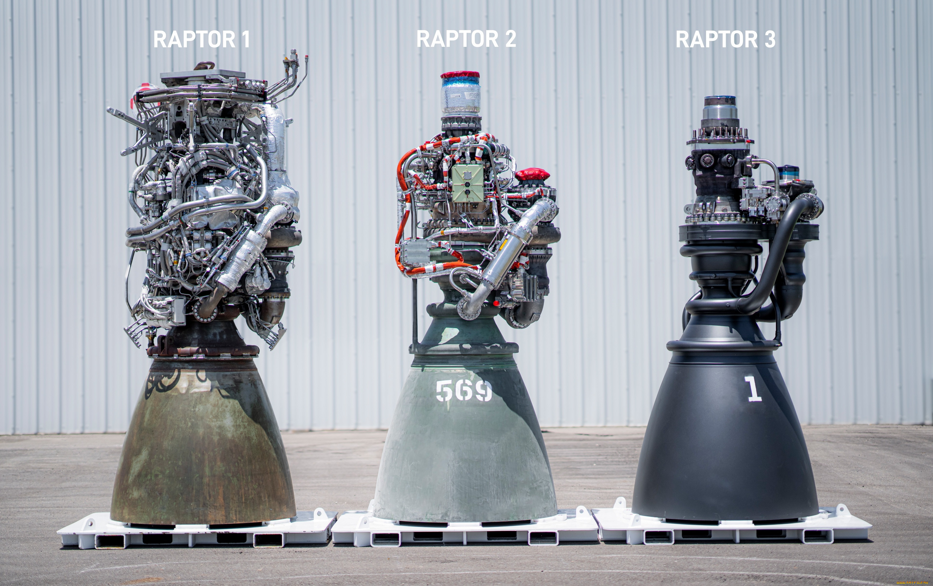 , , , , , raptor